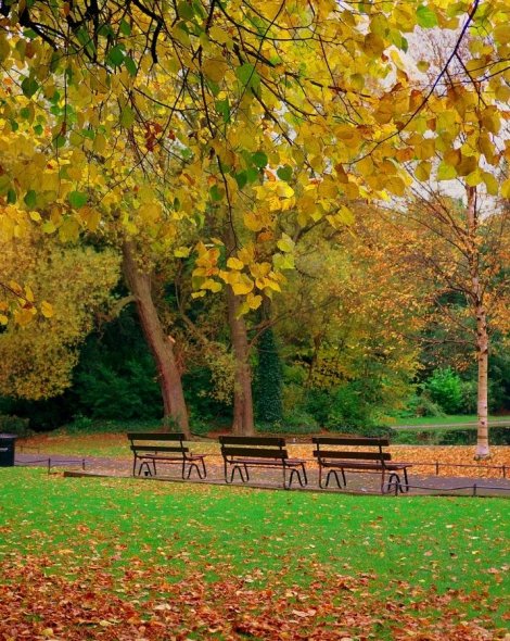 Harcourtescape www.harcourthotel.ie